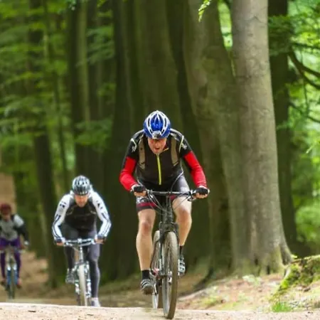 Gezellige Jaren '30 Woning Op De Veluwe בית נופש Lieren