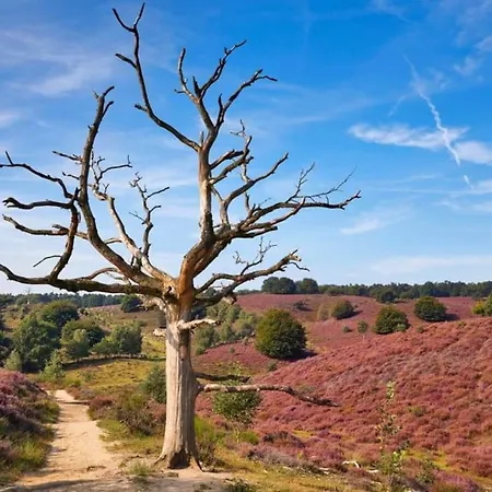 בית נופש Gezellige Jaren '30 Woning Op De Veluwe
